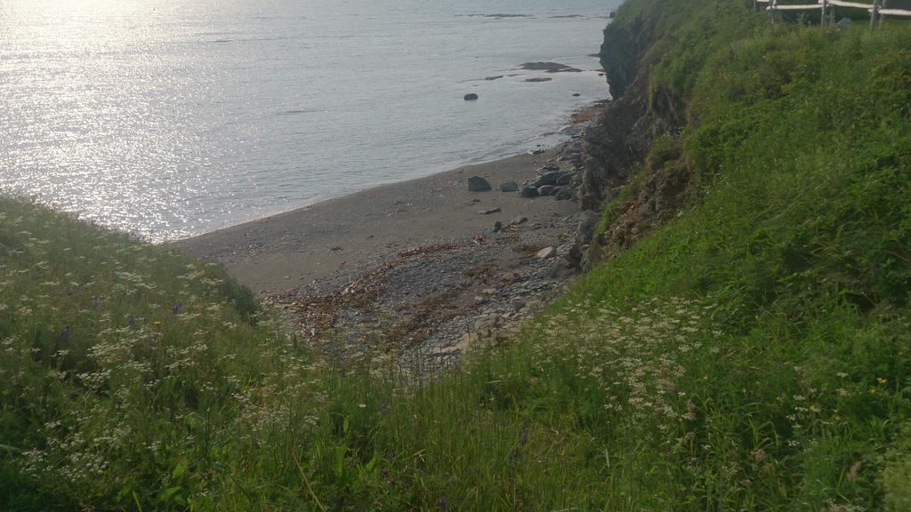 Les Cabines Sur Mer Cap-des-Rosiers Exteriör bild