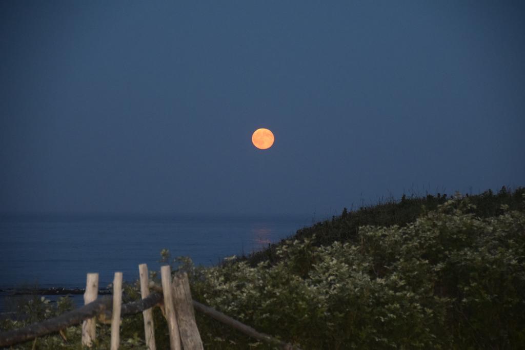 Les Cabines Sur Mer Cap-des-Rosiers Exteriör bild