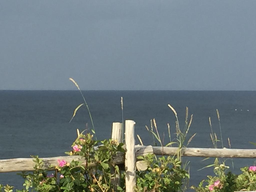 Les Cabines Sur Mer Cap-des-Rosiers Exteriör bild